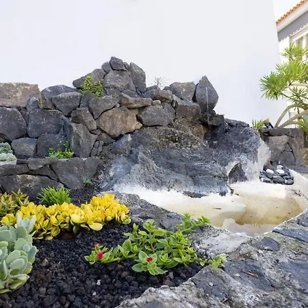 Ferienhaus Mit Privatpool Fur 12 Personen 2 Ca 320 M In Puerto De La Cruz, Teneriffa Nordkuste Von Teneriffa 펜션 푸에르토 드 라 크루즈